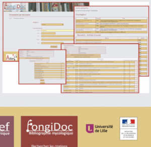 Saisie des données du bulletin : appel à bénévolat