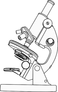 STAGE DE TRAVAUX PRATIQUES DE MICROSCOPIE