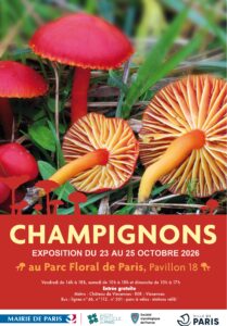 Ne manquez pas l’exposition annuelle de champignons au parc floral de vincennes